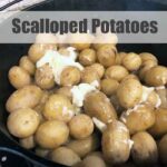 scalloped potatoes