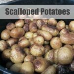 scalloped potatoes