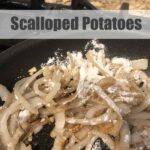 scalloped potatoes