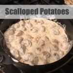 scalloped potatoes