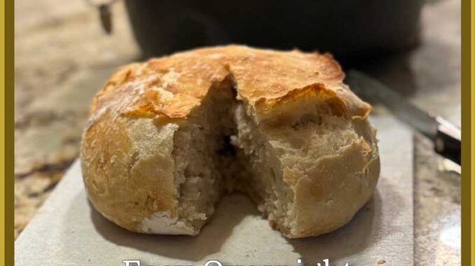 overnight artisian bread